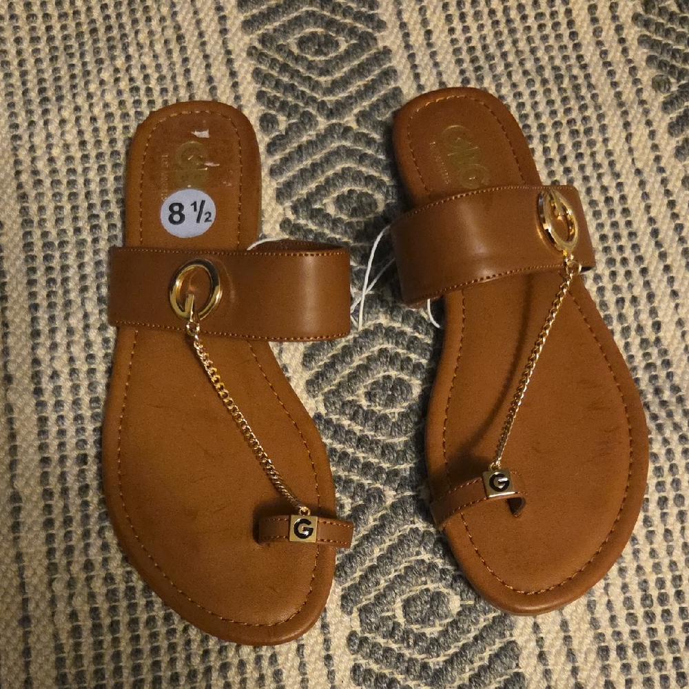 Brown Sandals with Gold Accents